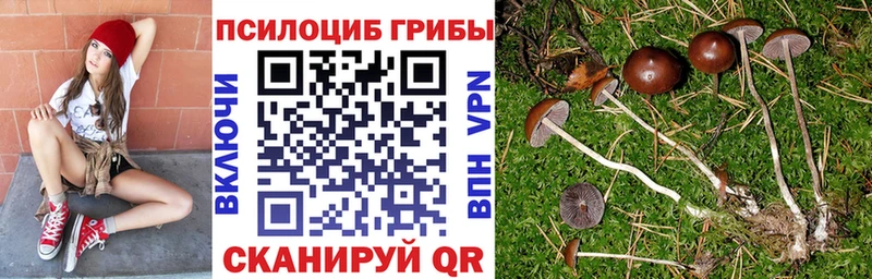 Псилоцибиновые грибы Psilocybe  Галич 